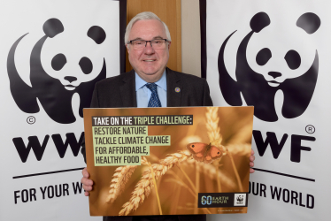 WWF Earth Hour